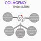Péptidos bioactivos de Colágeno Hidrolizado