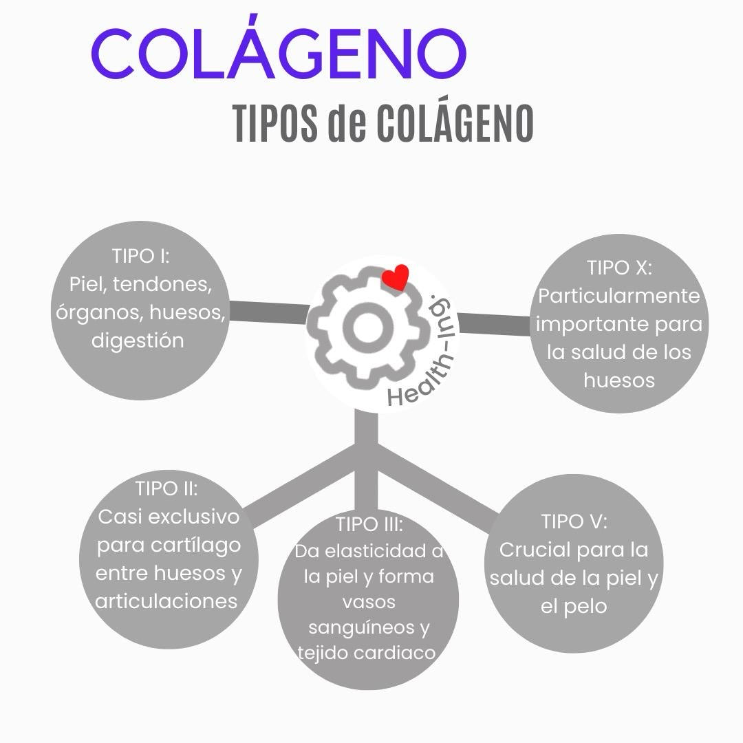 Péptidos bioactivos de Colágeno Hidrolizado