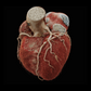 Estudios de imagen cardiovascular Pack 1: Dirección de Adquisición Remota