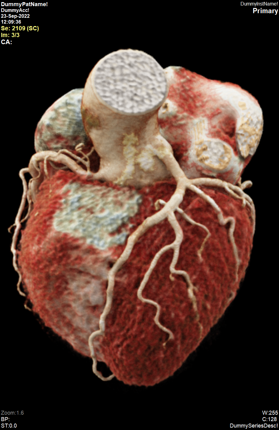 Estudios de imagen cardiovascular Pack3: Dirección + Lectura + Calidad y Capacitación
