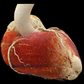 Estudios de imagen cardiovascular Pack 2: Dirección + Lectura Especializada